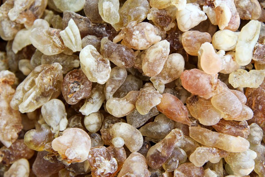 تفاوت سقز و کندر در چیست؟