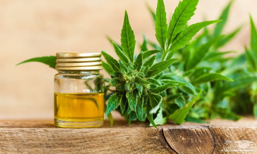 از خواص روغن مارولا چه میدانید؟