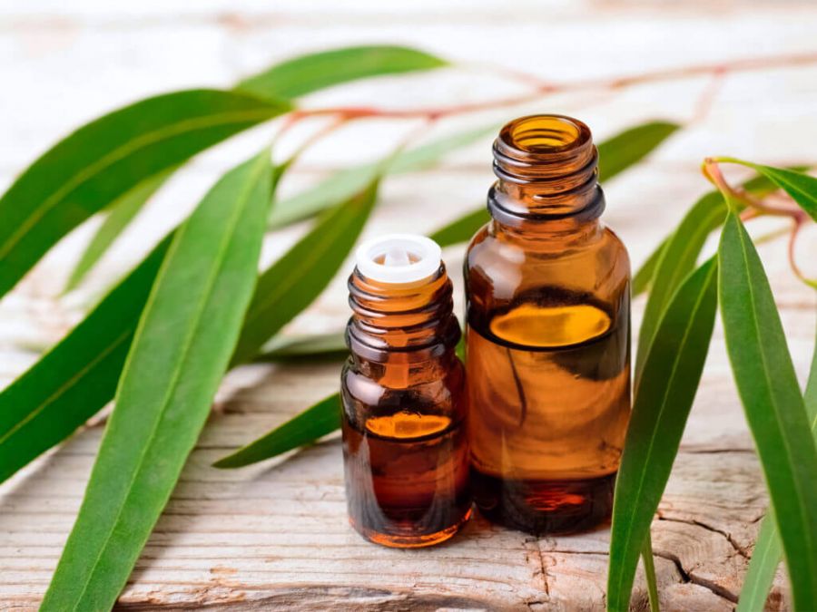 آیا استفاده از روغن اکالیپتوس برای نوزادان بی خطر است؟