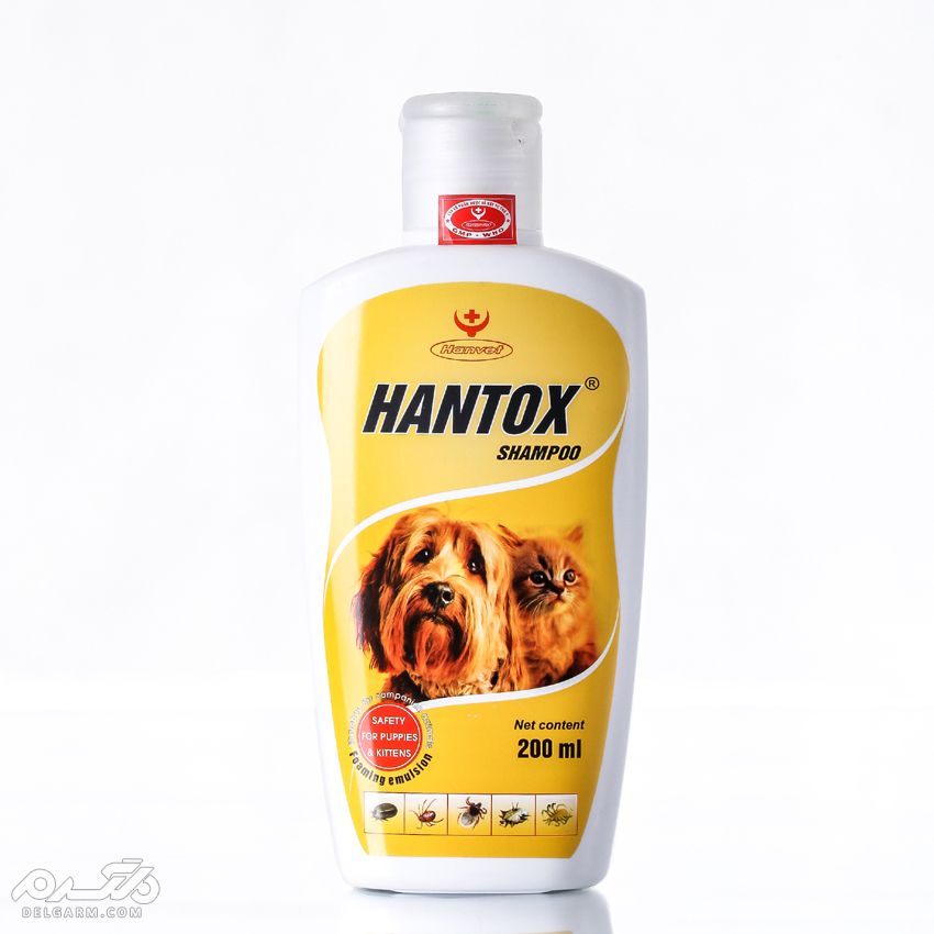 شستشوی حیوانات خانگی با شامپوی hontox