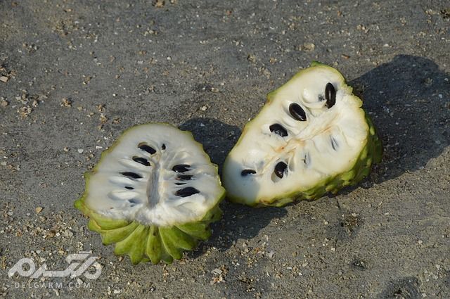 خواص معجزه آسا سیب شکری