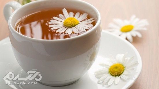 خواص دارویی درمانی چای داوودی در طب سنتی