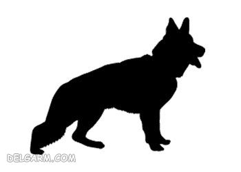 آشنایی کامل با نوع و دسته سگ نژاد ژرمن شپرد