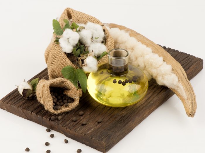 ۱۱ خاصیت باورنکردنی روغن پنبه دانه