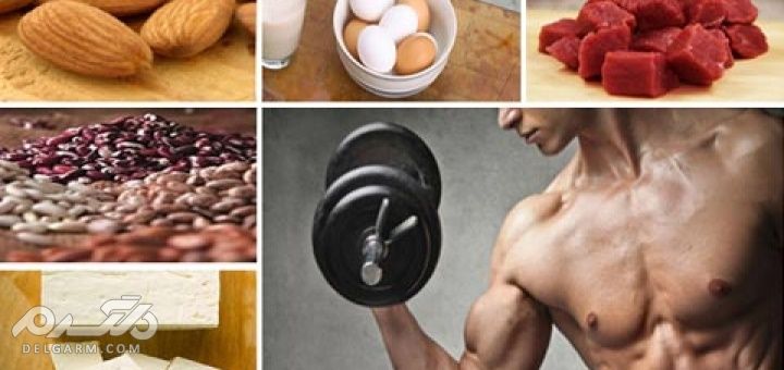 خوراکیهای مفید برای عضلات