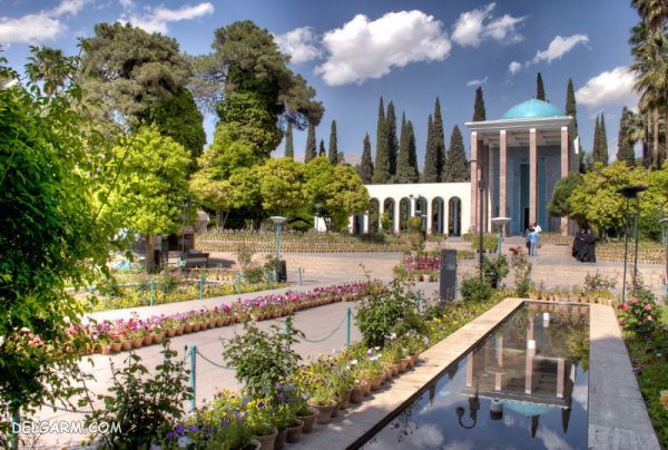 سعدیه