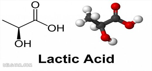 lactic acid