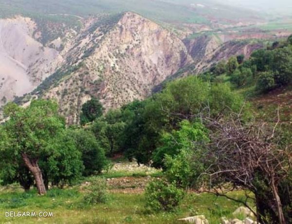 کوه