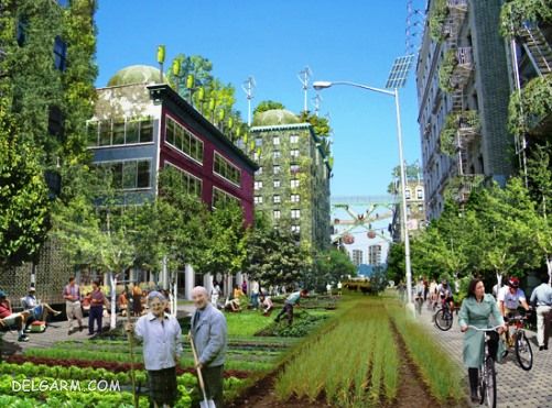 کشاورزی شهری