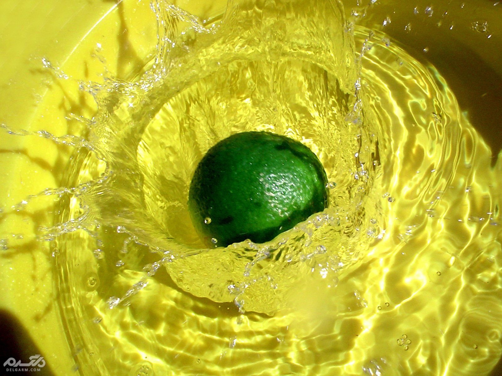 شربت طبیعی لیمو