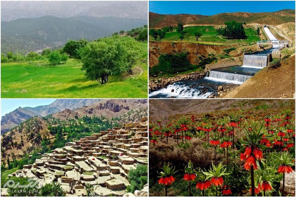 کوهرنگ