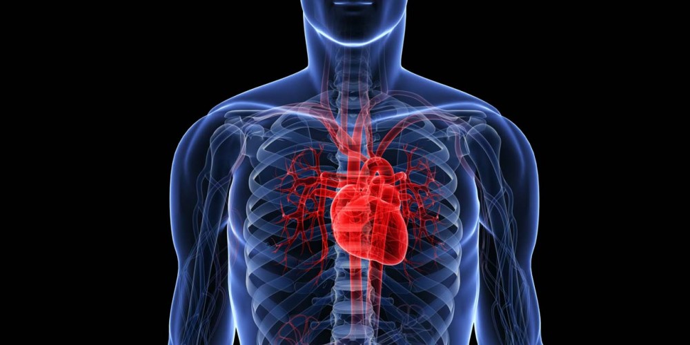 روماتیسم قلبی چیست / علائم روماتیسم قلبی کدامند؟