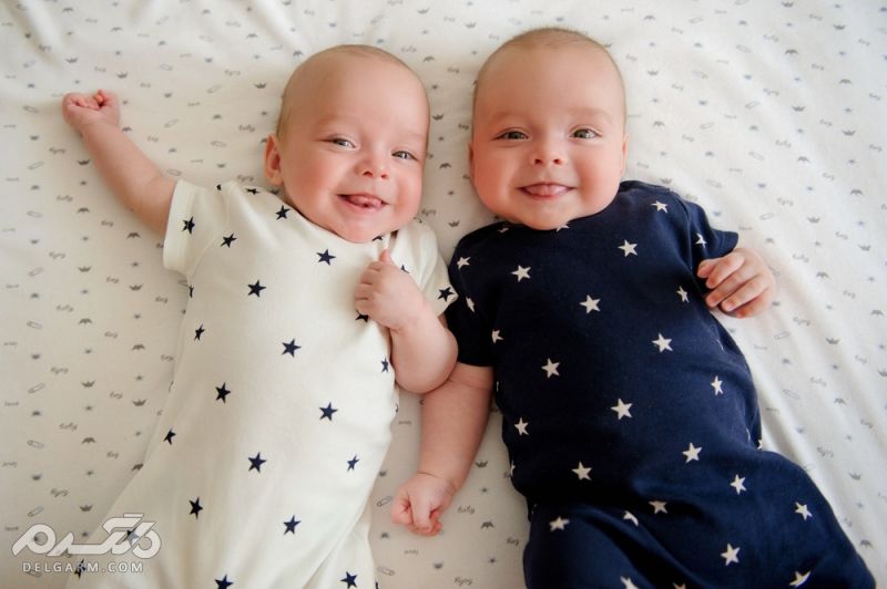 Twin بارداری دو قلو