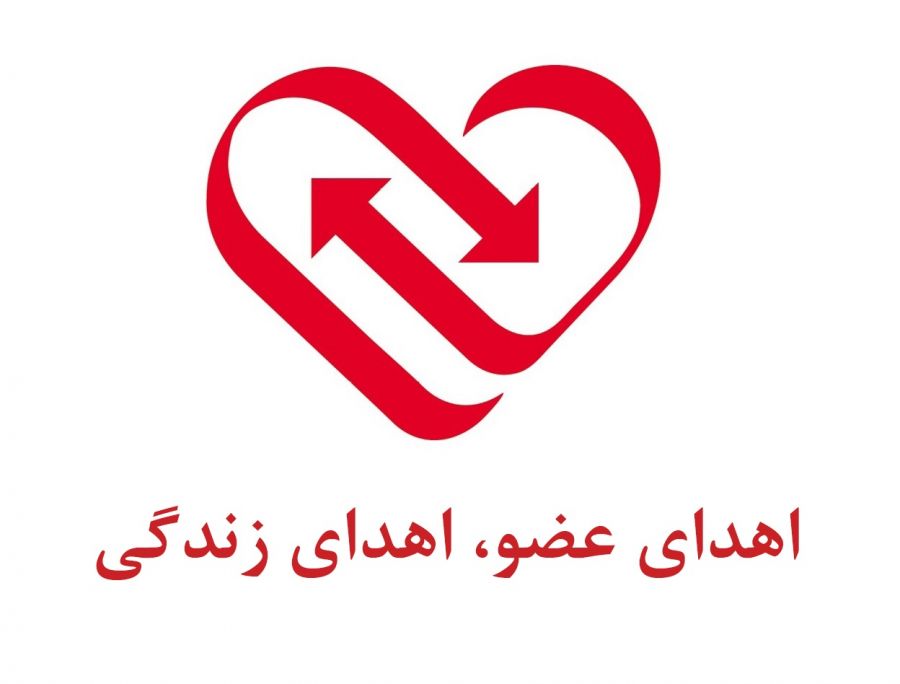 کدام عضو بدن را تا زنده هستیم میتوان اهدا کرد ؟