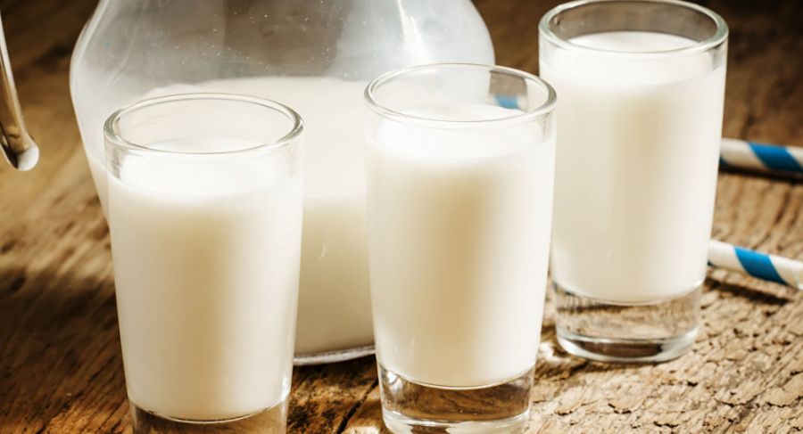 دوغ شتر : ۱۳ خاصیت تایید شده دوغ شتر در طب سنتی