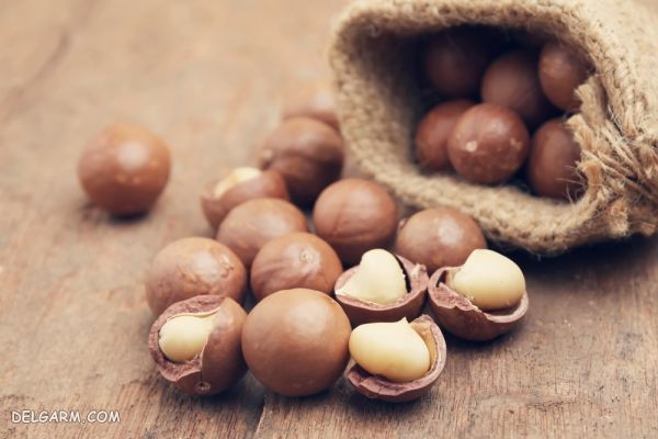 فندق استرالیایی چیست / خواص فندق استرالیایی / ماکادمیا چیست / خواص ماکادمیا چیست