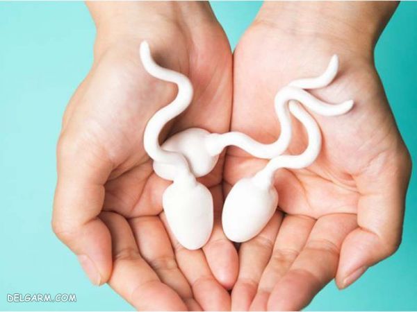 احتمال بارداری با اسپرم کم تحرک