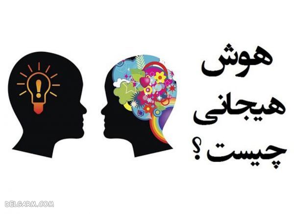 هوش هیجانی چیست