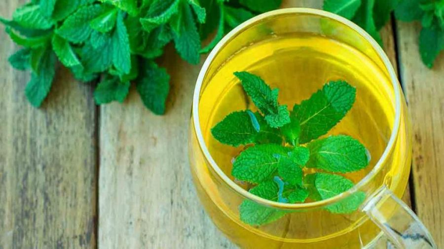 خواص نعناع در بارداری : آیا مصرف نعنا در حاملگی برای جنین مضر است