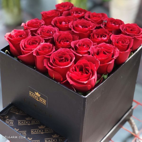 رز قرمز مناسب برای هدیه دادن