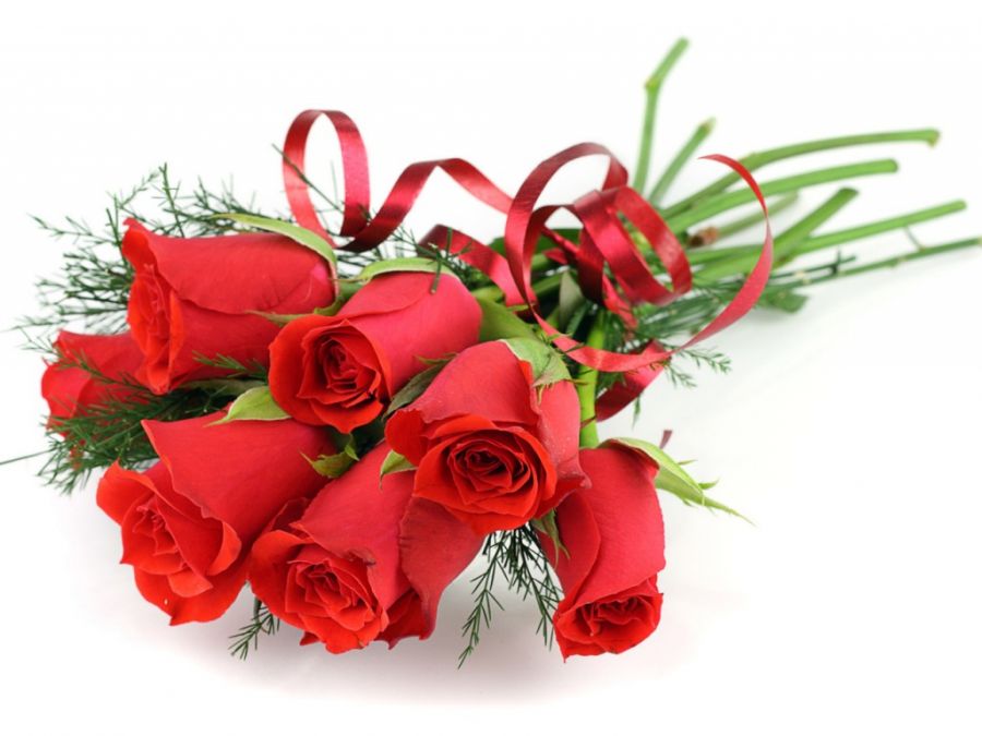 بهترین گل برای هدیه دادن : چه گلی برای هدیه دادن مناسب است ؟