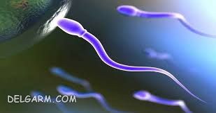اسپرم لازم برای بارداری