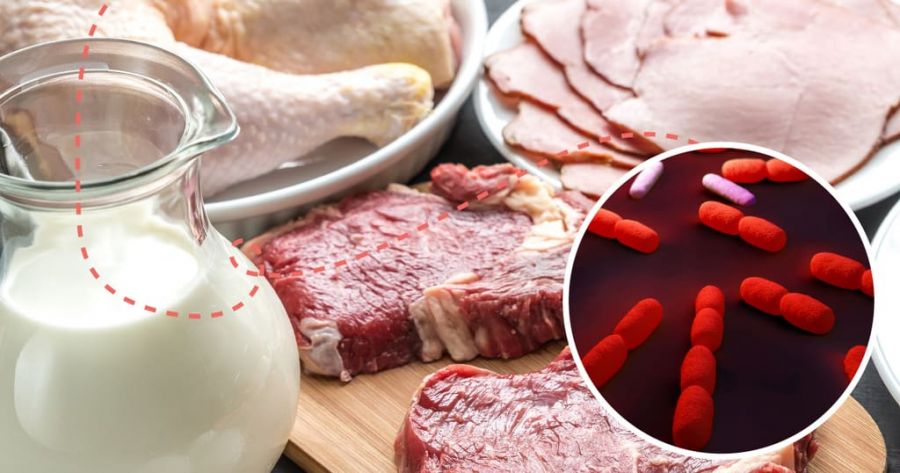 عفونت لیستریا چیست و چگونه منتقل می شود ؟