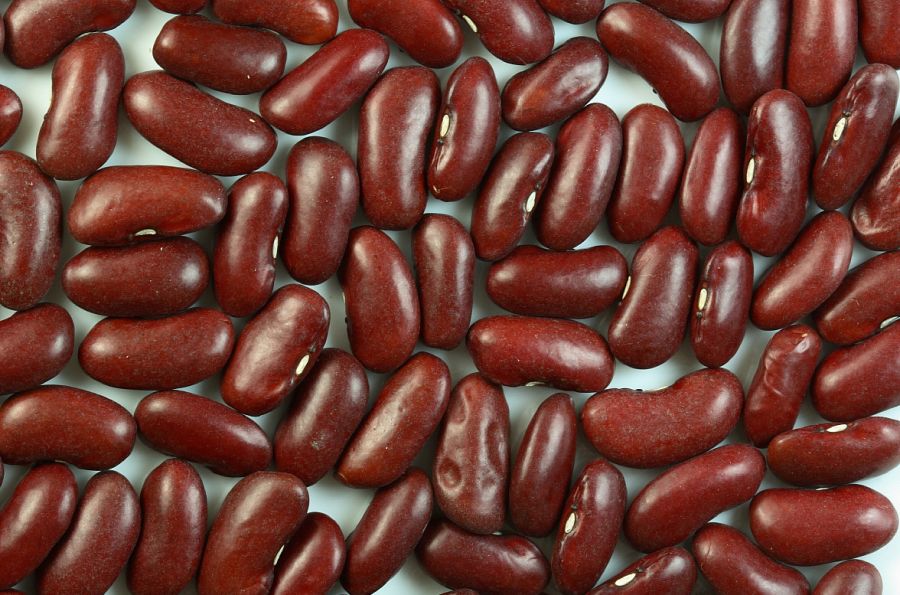 خواص شگفت انگیز لوبیا آزوکی برای سلامت بدن