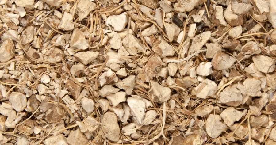 یام وحشی : خواص درمانی گیاه یام وحشی در طب سنتی