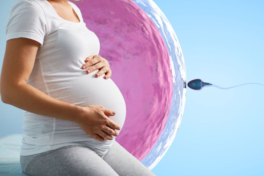 استفاده از روش IUI برای تعیین جنسیت جنین