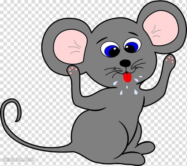 سال موش / ازدواج سال موش / متولدین ماههای سال موش / سال موش چگونه سالیست / علایق متولدین سال موش / متولد سال موش با چه سالی ازدواج کند / سال موش سمبل چیست / سال موش برای متولدین سالهای دیگر چگونه است / سال موش برای متولدین سالهای دیگر چگونه است