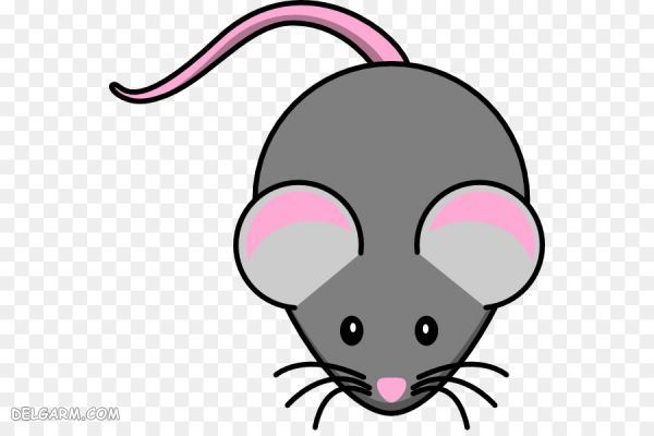 ازدواج سال موش / متولدین ماههای سال موش / سال موش چگونه سالیست / علایق متولدین سال موش / متولد سال موش با چه سالی ازدواج کند / سال موش سمبل چیست / سال موش برای متولدین سالهای دیگر چگونه است / سال موش برای متولدین سالهای دیگر چگونه است