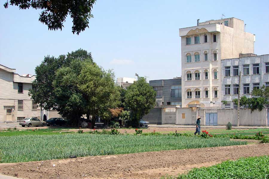 مستقل شدن ری