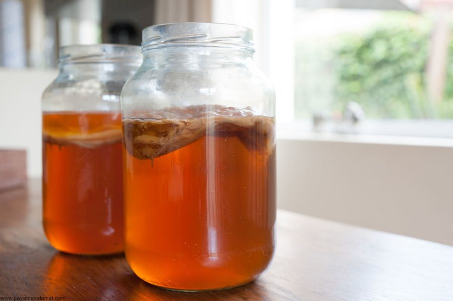 فواید کامبوچا - طرز تهیه نوشیدنی کامبوچا