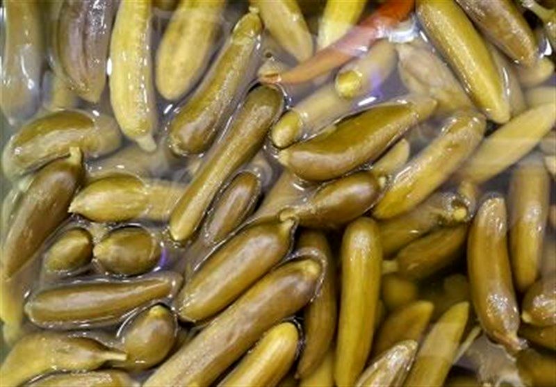 از خرید خیارشور فله ای خودداری کنید