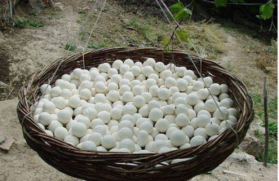 طرز تهیه کشک و قارا در منزل