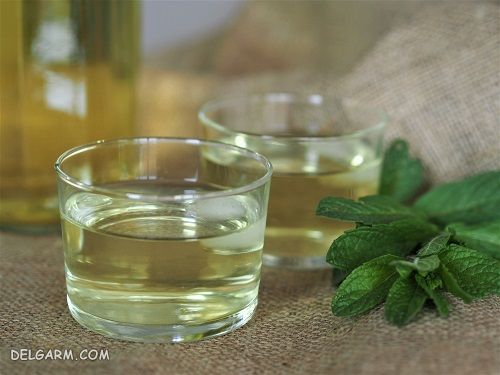 طرز تهیه ۱۰ شربت خوشمزه با نعنا + عکس