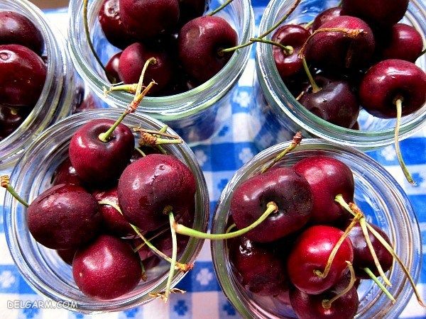 ترشی گیلاس : طرز تهیه ۳ مدل ترشی گیلاس در منزل