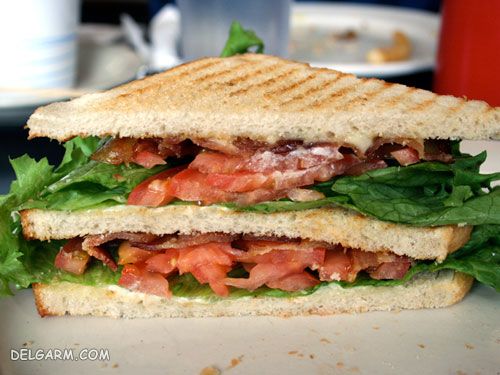 آموزش تهیه ۱۰ نوع ساندویچ‌ و برگر خوشمزه خانگی + عکس