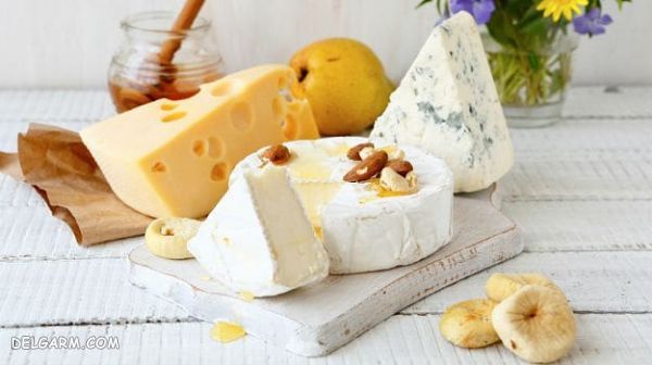 آموزش تهیه ۶ مدل پنیر خوشمزه و سالم خانگی + عکس