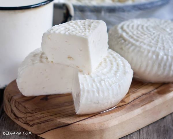 آموزش تهیه ۶ مدل پنیر خوشمزه و سالم خانگی + عکس