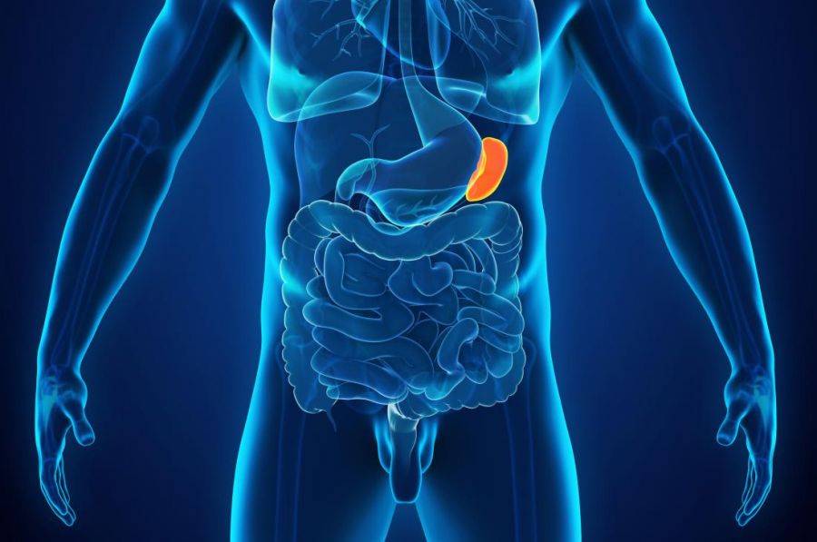 علائم و عوارض بزرگ شدن طحال کدام است؟