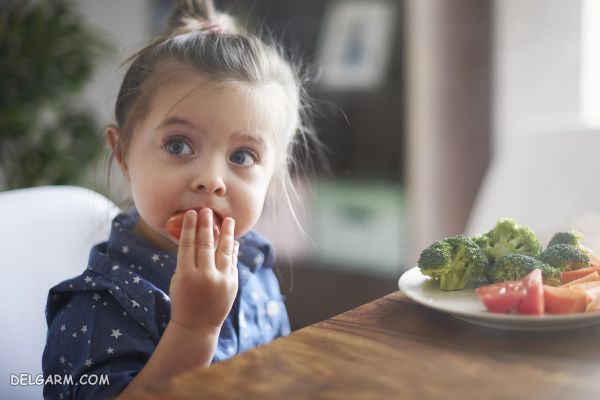 ۱۱ نکته اساسی برای رفع بد غذایی کودکان