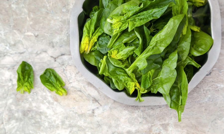 چگونه اسفناج را برای طولانی مدت تازه نگه داریم؟