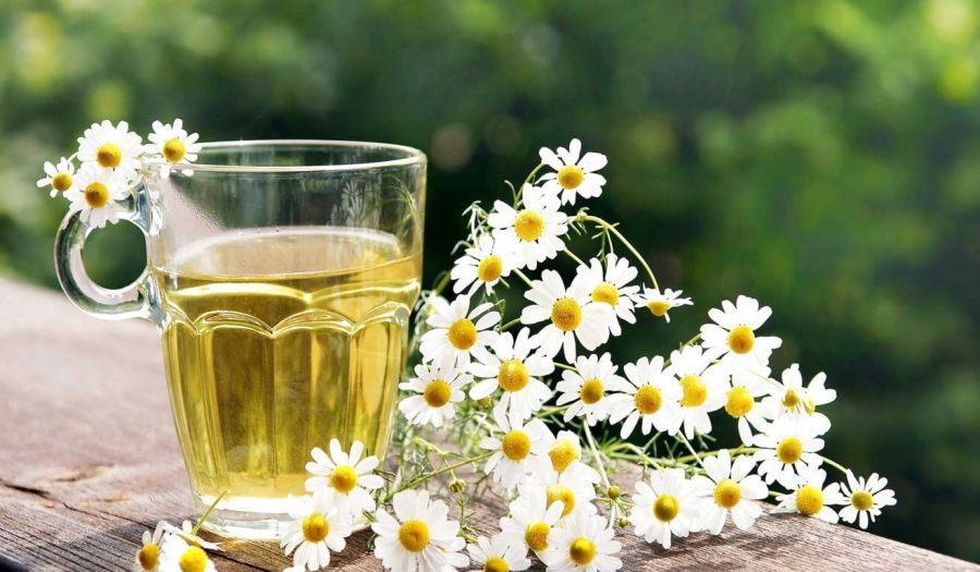 نحوه درست کردن دمنوش یا چای گل مینا و طریقه مصرف