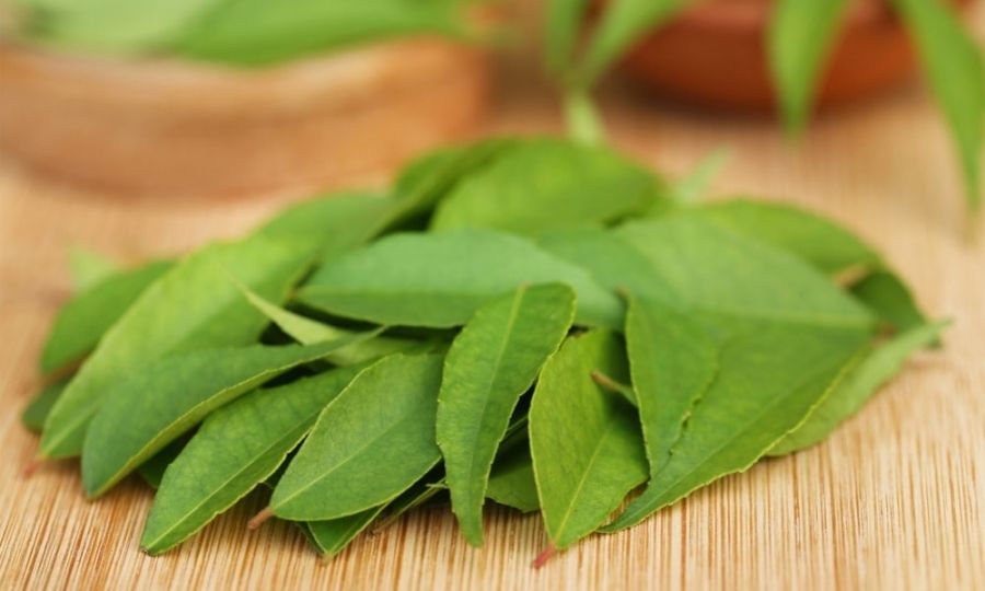 ۱۰ نمونه از مهمترین خواص برگ کاری برای بدن