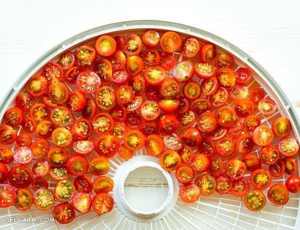 ۳ روش طلایی جهت تهیه پودر گوجه فرنگی + عکس