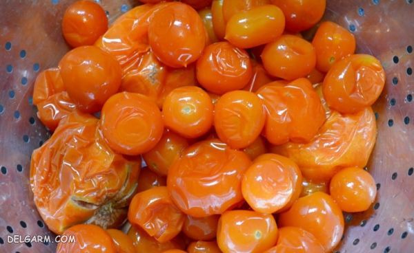 ۳ روش طلایی جهت تهیه پودر گوجه فرنگی + عکس