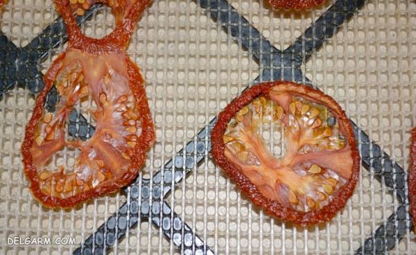 ۳ روش طلایی جهت تهیه پودر گوجه فرنگی + عکس