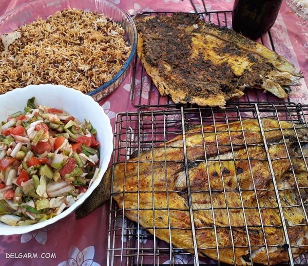 ۲ روش ساده جهت تهیه حشو ماهی شکمپر جنوبی